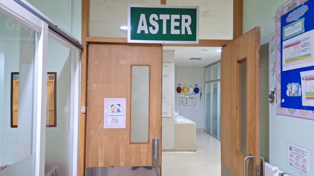 Aster (Perawatan Bayi)